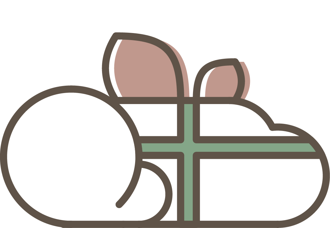 Alt Image